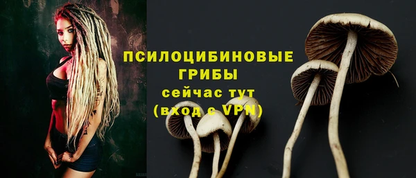 jwh Алзамай