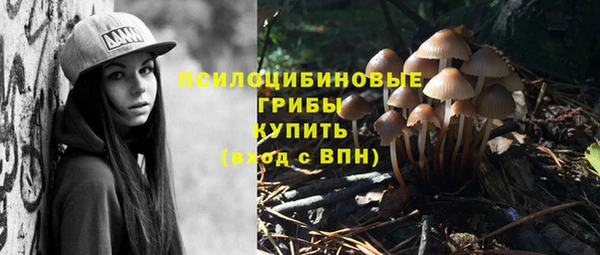 jwh Алзамай